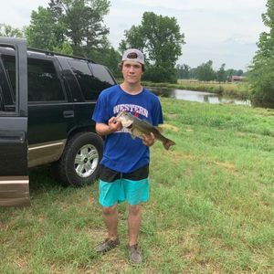 Meet your Posher, Gene